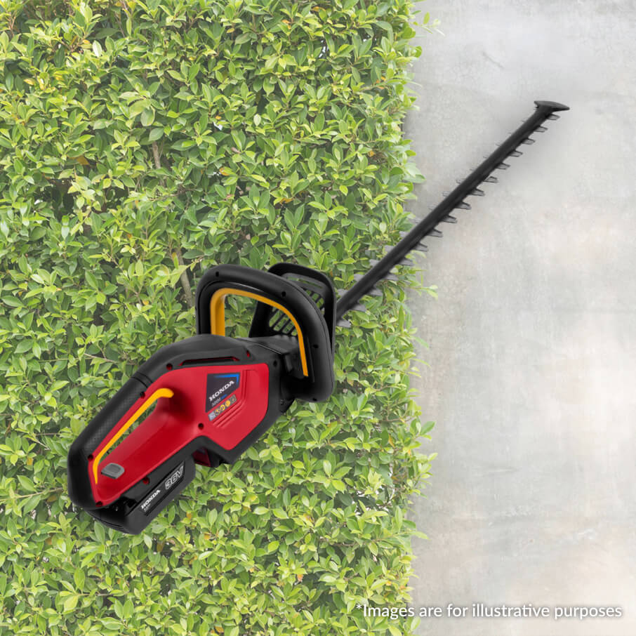 DC Hedge Trimmer: